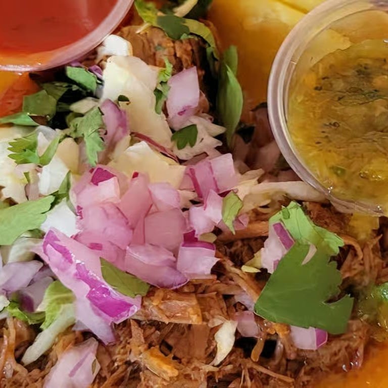 Indulge in Our Birria