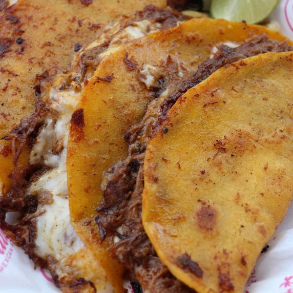 Close-up of three golden-fried birria tacos with melted cheese and shredded meat, served with lime.