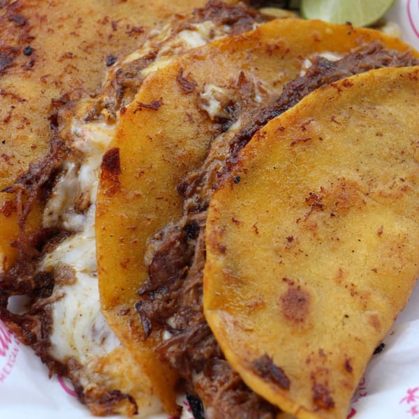 Close-up of three golden-brown birria tacos with melted cheese and shredded meat, served with lime.